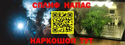 гидра Апшеронск
