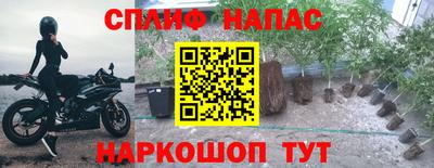 гидра Апшеронск