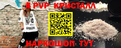 ECSTASY Аргун