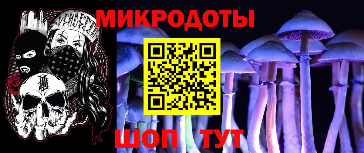 Галлюциногенные грибы Psilocybe Архангельск